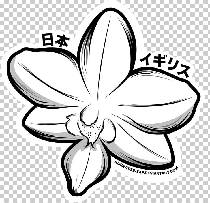 Cut Flowers White Line Art PNG, Clipart, Area, Art, Artwork, Black And White, Cut Flowers Free PNG Download