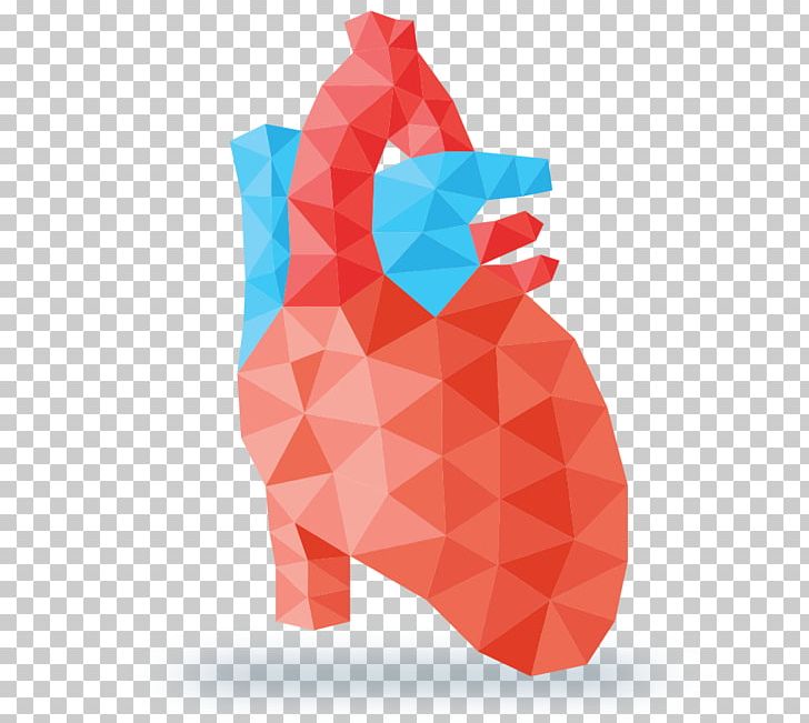 Heart Drawing Geometry PNG, Clipart, American Heart Association, Anatomy, Drawing, Geometry, Heart Free PNG Download