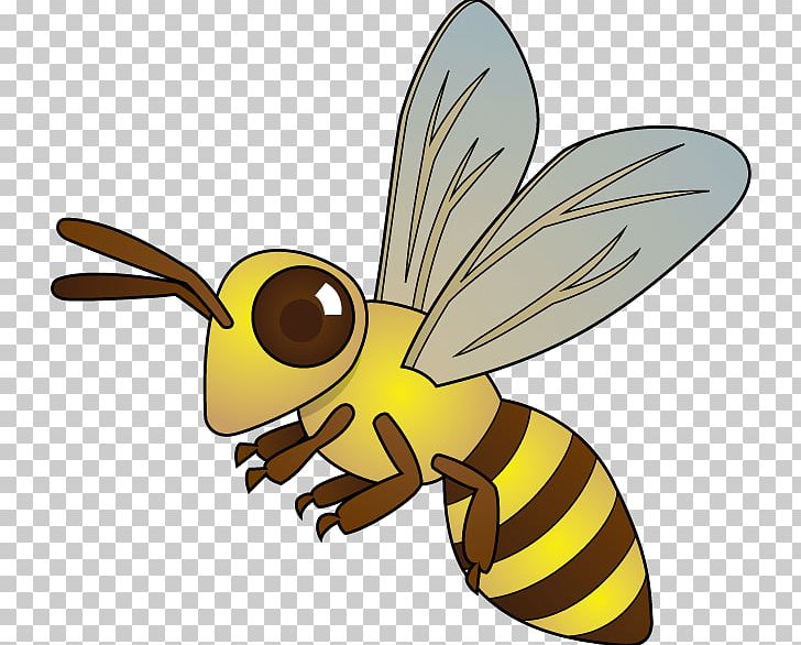 Honey Bee Hornet Insect PNG, Clipart, Arthropod, Bee, Bee Clipart, Download, Fauna Free PNG Download