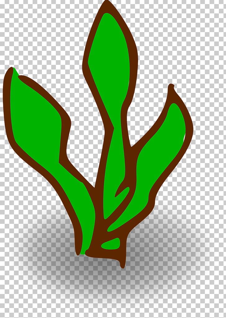 Kelp Forest Giant Kelp PNG, Clipart, Computer Icons, Download, Grass, Green, Kelp Free PNG Download