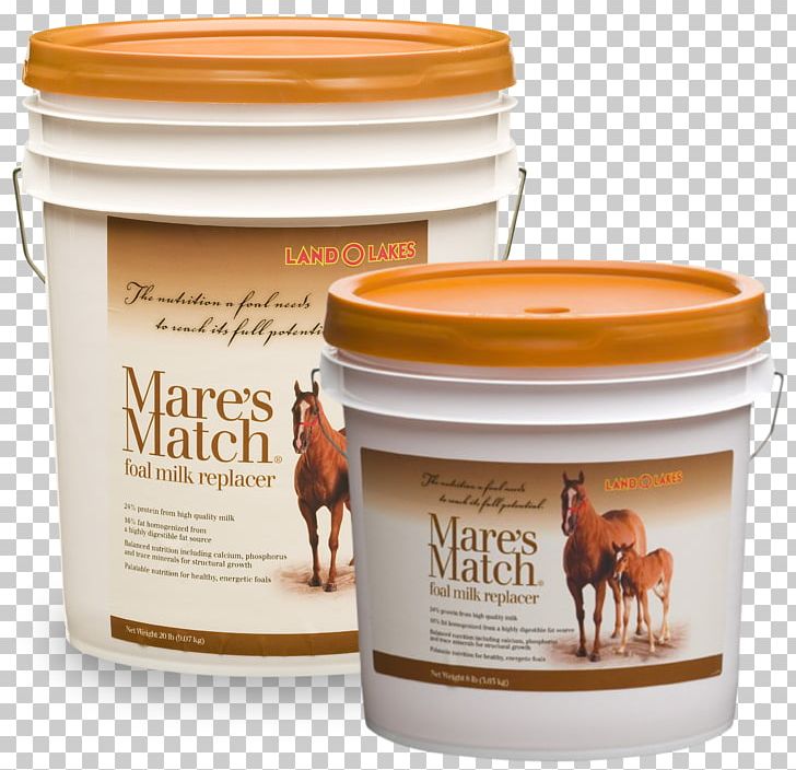 Mare Horse Foal Milk Land O'Lakes PNG, Clipart,  Free PNG Download