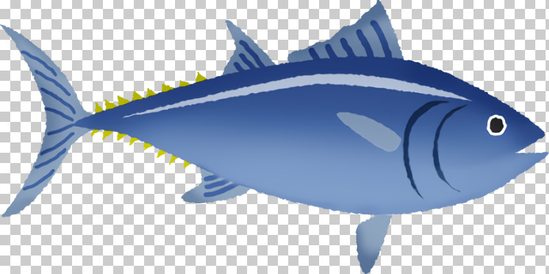 Fish Fish Fin Tuna Atlantic Bluefin Tuna PNG, Clipart, Albacore Fish, Atlantic Bluefin Tuna, Bonyfish, Fin, Fish Free PNG Download