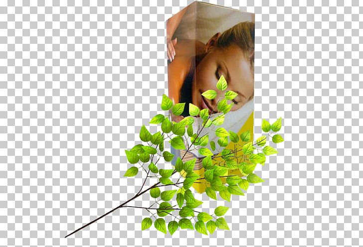 Floral Design Leaf Twig Flowerpot PNG, Clipart, Branch, Floral Design, Flower, Flower Arranging, Flowerpot Free PNG Download