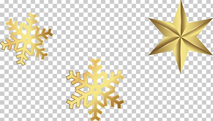Snowflake Schema Computer File PNG, Clipart, Christmas, Computer File, Decorative Patterns, Design, Golden Free PNG Download