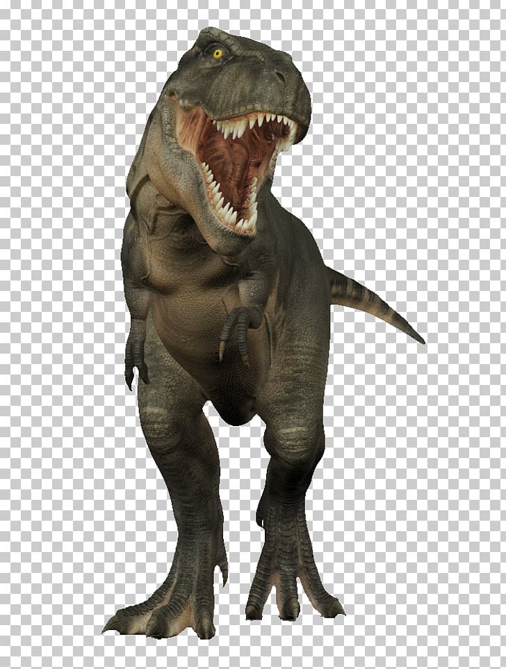 Tyrannosaurus Rex Dinosaur 3D Modeling 3D Computer Graphics PNG, Clipart, 3d Computer Graphics, 3d Dinosaurs, 3d Modeling, Animal, Animals Free PNG Download