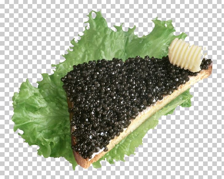Beluga Caviar Butterbrot Russian Cuisine Roe PNG, Clipart, Beluga Caviar, Bread, Bread Cartoon, Bread Egg, Bread Logo Free PNG Download