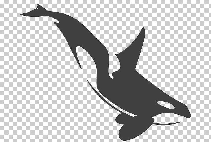 Killer Whale Cetaceans Tattoo Toothed Whale PNG, Clipart, Animal, Beak, Bird, Black And White, Blue Whale Free PNG Download