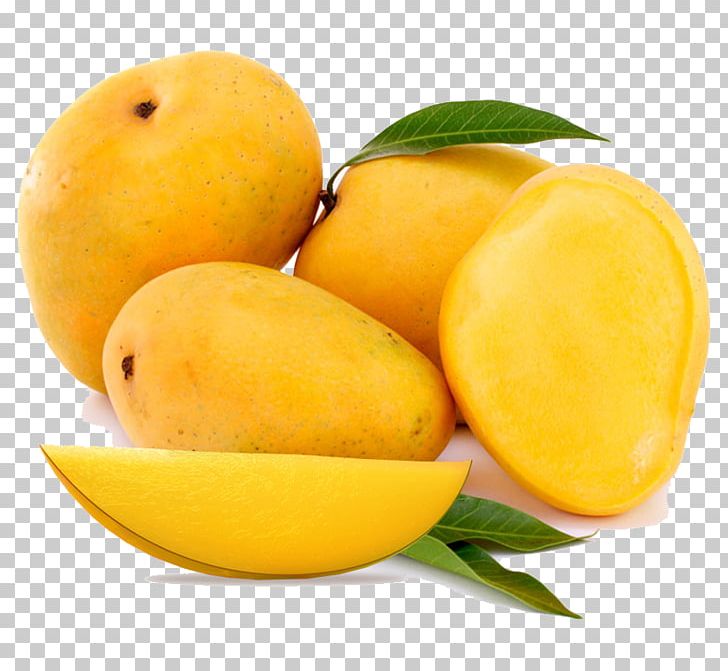 Mangifera Indica Alphonso Mango Devgad Taluka Food PNG, Clipart, Alphonso, Alphonso Mango, Citrus, Curcuma Amada, Devgad Taluka Free PNG Download