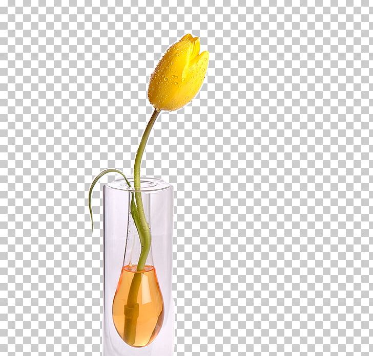 Still Life Photography Vase PNG, Clipart, Flower, Flowering Plant, Petal, Photography, Still Life Free PNG Download