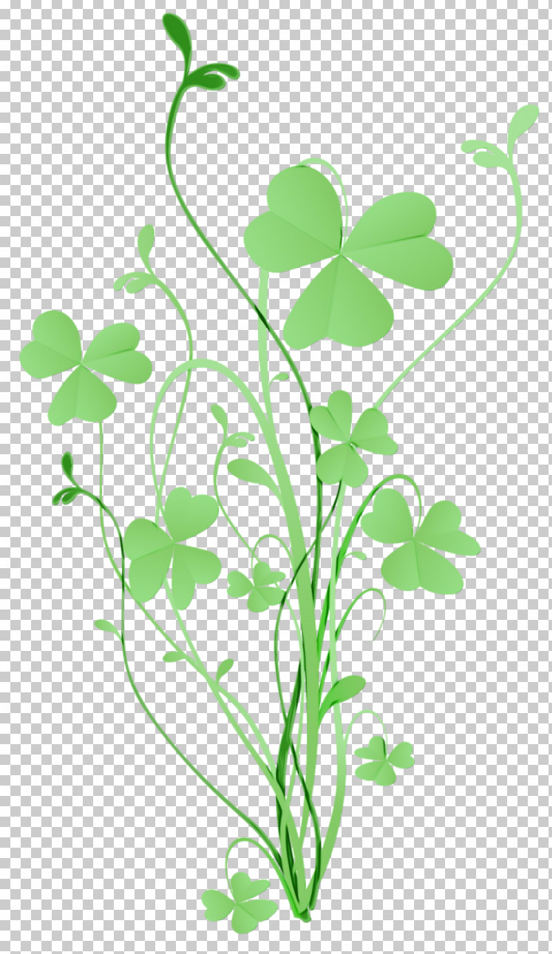 Leaf Plant Flower Pedicel Plant Stem PNG, Clipart,  Free PNG Download