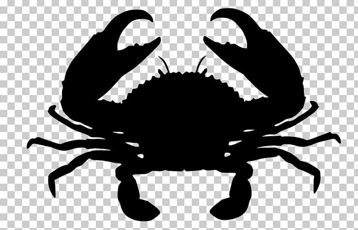 Giant Mud Crab Chesapeake Blue Crab Red King Crab PNG, Clipart, Animals, Artwork, Black And White, Bumper, Callinectes Free PNG Download