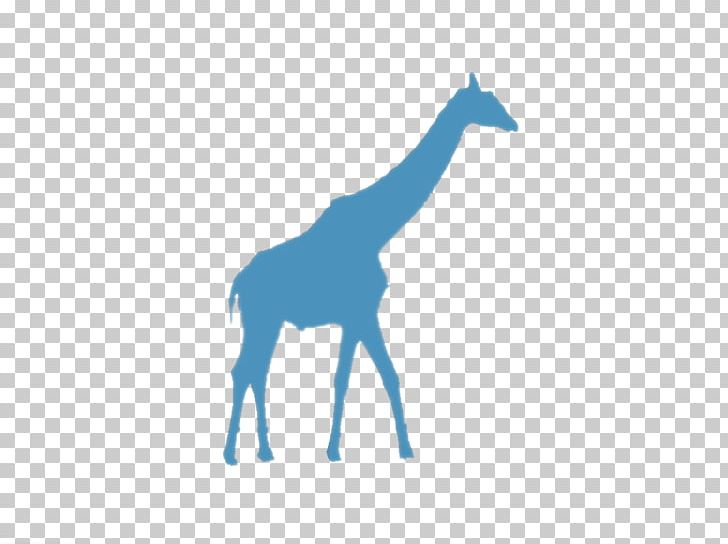 Giraffe Graphics Illustration PNG, Clipart, Animals, Drawing, Fauna, Giraffe, Giraffidae Free PNG Download