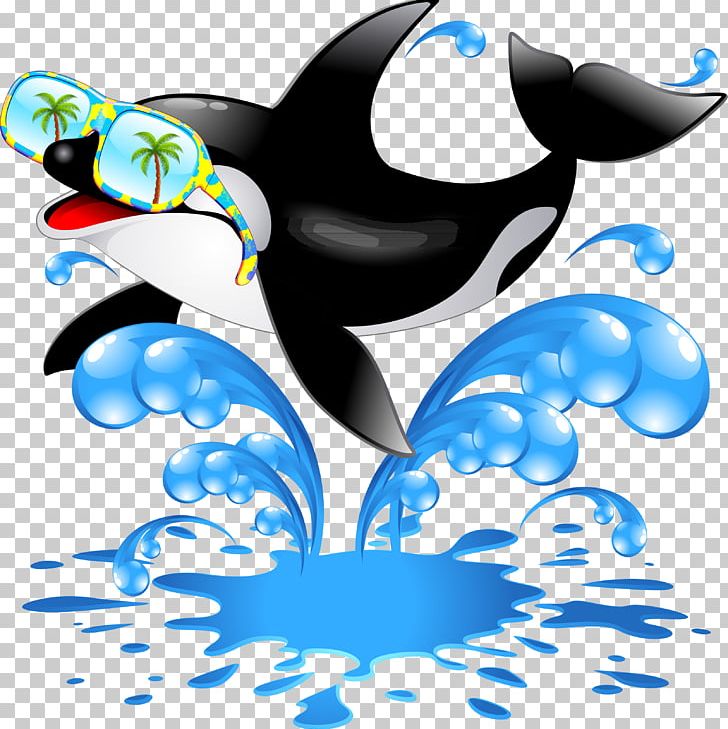 Killer Whale Cetacea PNG, Clipart, Animals, Beak, Beluga Whale, Blue Whale, Car Free PNG Download
