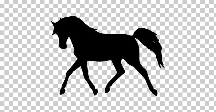 Tennessee Walking Horse Arabian Horse Pony Equestrian PNG, Clipart, Arabian Horse, Black, Black And White, Bridle, Color Free PNG Download