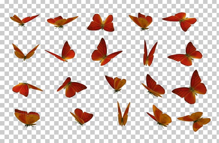 Butterfly Stock Photography PNG, Clipart, 3d Butterfly, 3d Computer Graphics, 4 May, Butterfly, Deviantart Free PNG Download