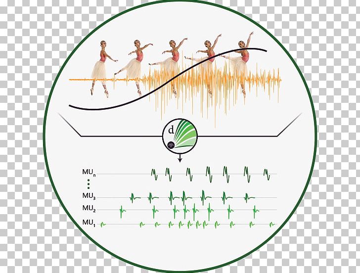 Electromyography Sensor Company Subvocal Recognition Circle PNG, Clipart, Angle, Area, Circle, Company, Darpa Free PNG Download