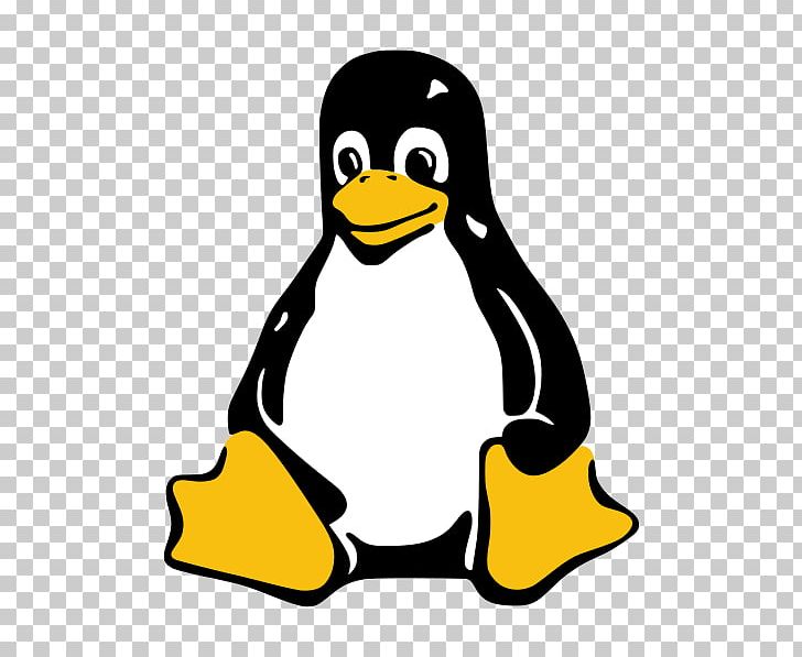 Amazon.com Linux Tux Amazon Web Services Installation PNG, Clipart, Amazoncom, Amazon Machine Image, Amazon Web Services, Artwork, Beak Free PNG Download