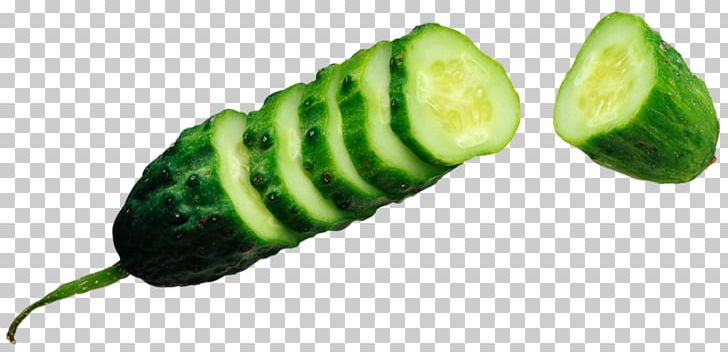Cucumber Vegetable Cultivar Half Sour Pickles Salting PNG, Clipart, Brined Pickles, Cornichon, Cucumber Gourd And Melon Family, Cucumber Material, Cucumber Slices Free PNG Download