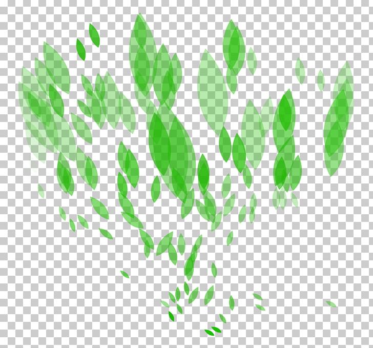 Light Leaf Green PNG, Clipart, Branch, Computer Graphics, Computer Software, Download, Grass Free PNG Download