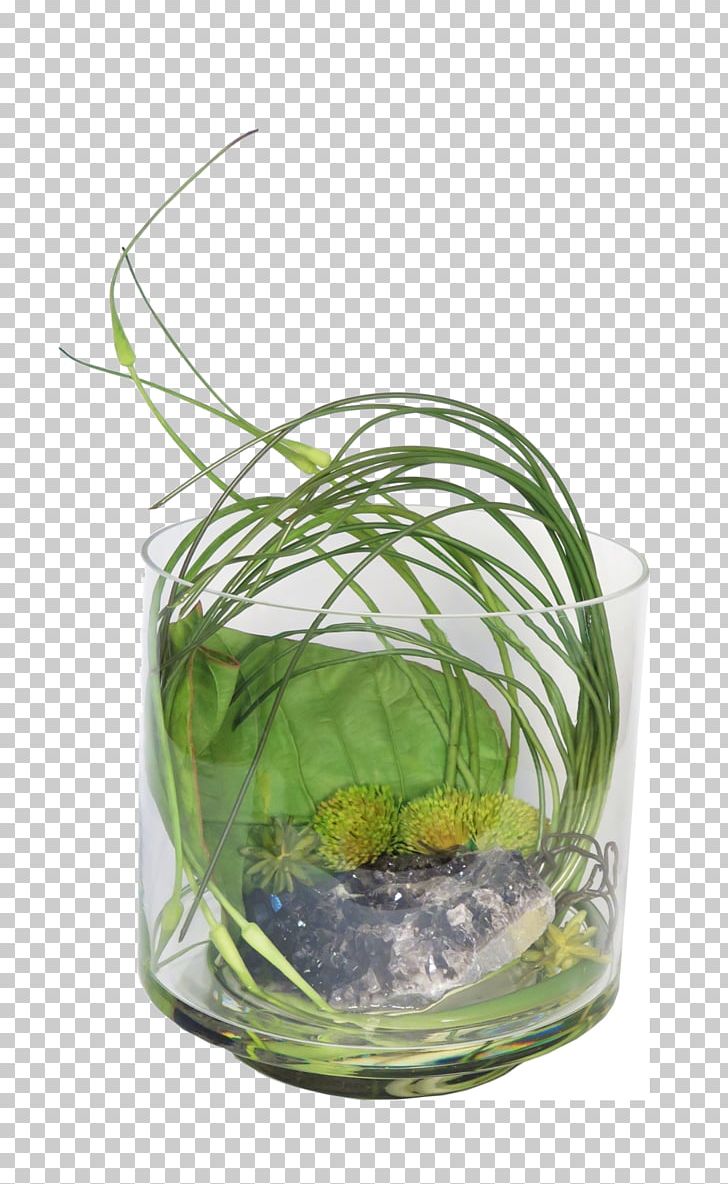 Sea Life Centres Glass Sea Life London Aquarium Grasses PNG, Clipart, Aquarium, Aquarium Decor, Flowerpot, Fresh Succulents, Glass Free PNG Download