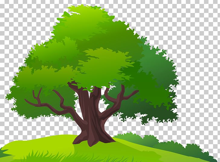Tree Lawn PNG, Clipart, Biome, Branch, Cartoon, Clipart, Clip Art Free PNG Download