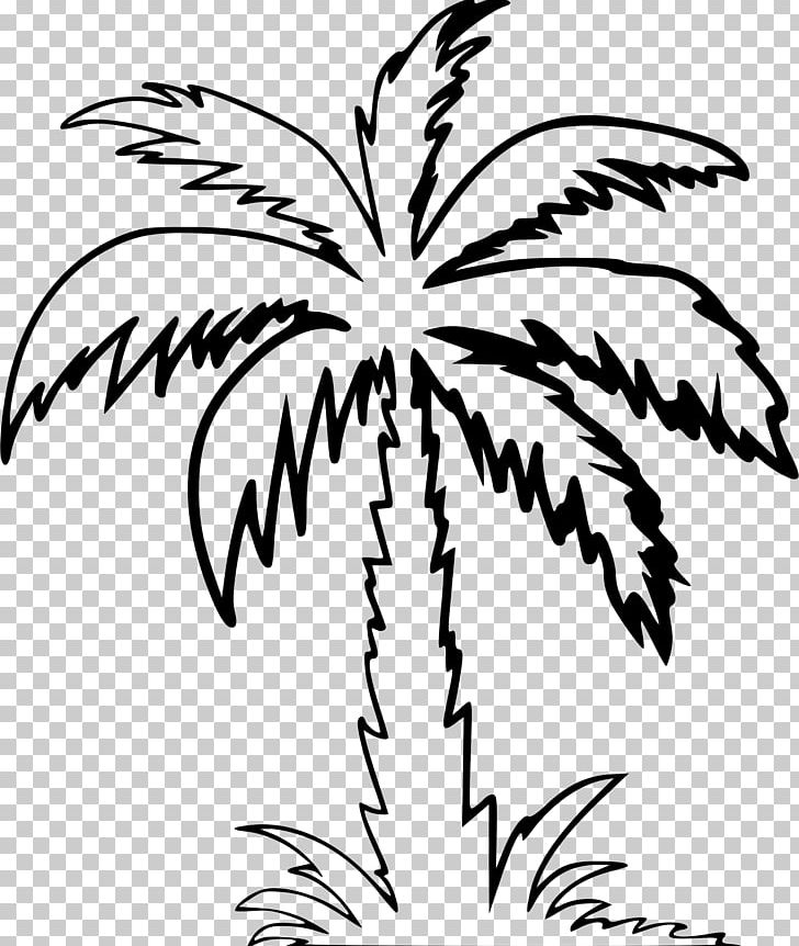 Arecaceae Drawing Tree PNG, Clipart, Arecales, Artwork, Black And White, Branch, Coconut Free PNG Download
