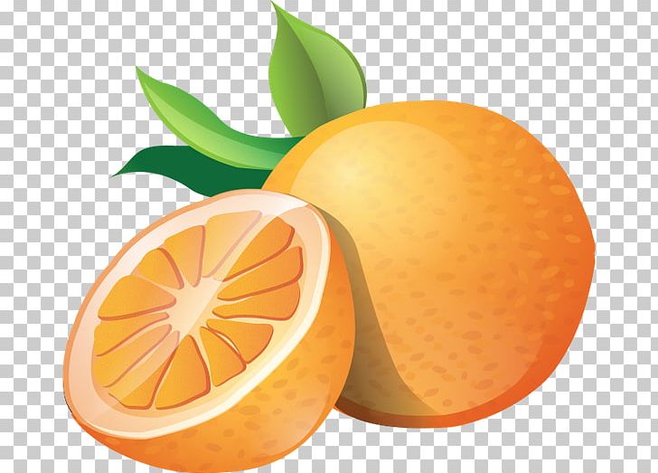 Orange Juice PNG, Clipart, Bitter Orange, Citrus, Clementine, Diet Food, Download Free PNG Download