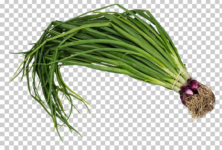 Scallion Vegetable Onion PNG, Clipart, Allium Fistulosum, Callaloo, Food, Garlic, Grass Free PNG Download