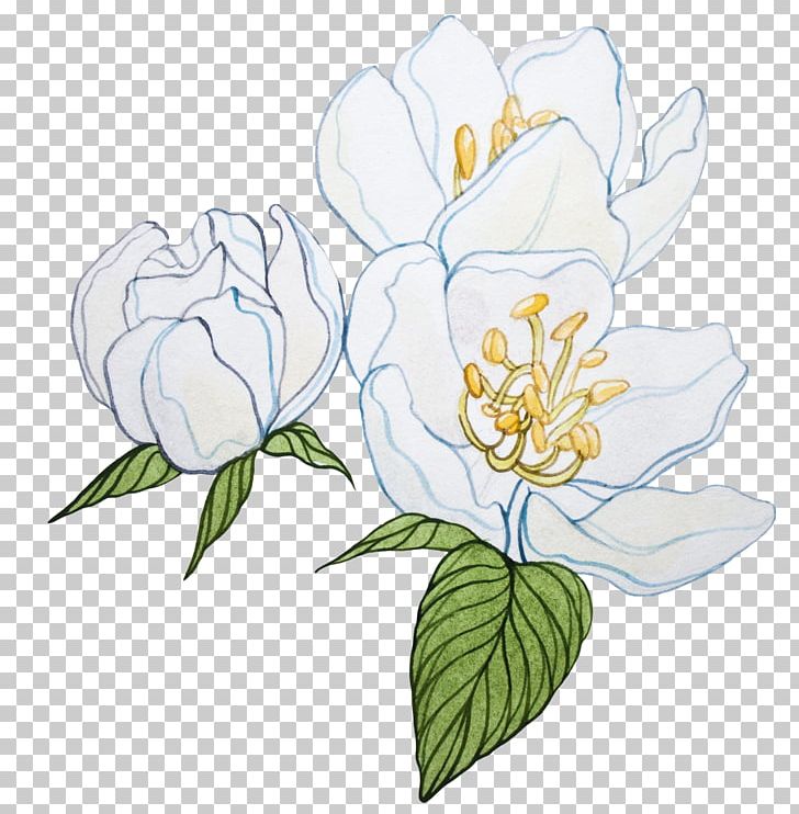 Cut Flowers Tulip Plant Stem Floral Design PNG, Clipart, Art, Blue, Blue Watercolor Flower, Branch, Cut Flowers Free PNG Download