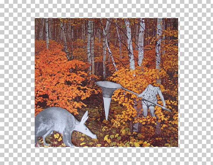 Painting PNG, Clipart, Aardvark, Art, Autumn, Deciduous, Fauna Free PNG Download