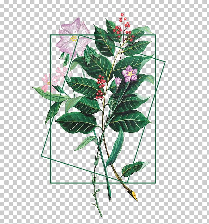 Flower Plant Illustration PNG, Clipart, Branch, Download, Euclidean Vector, Fashion Accesories, Fashion Accessories Free PNG Download
