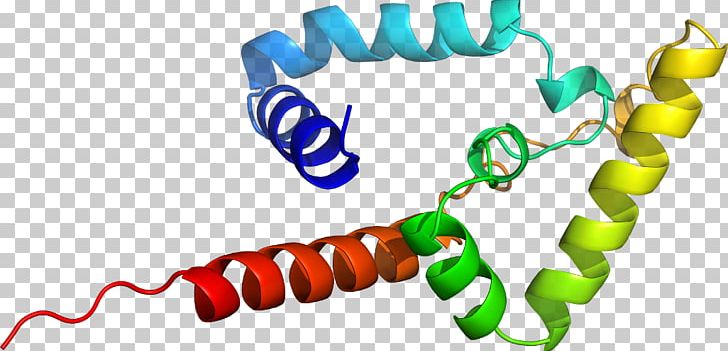 PARP1 Body Jewellery Poly (ADP-ribose) Polymerase Line PNG, Clipart, Art, Body Jewellery, Body Jewelry, Jewellery, Line Free PNG Download