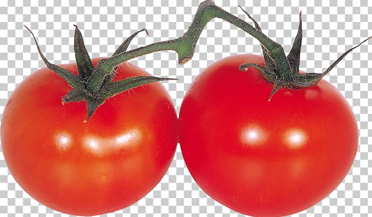 Plum Tomato Italian Tomato Pie Banana Ketchup Vegetable Tomato Juice PNG, Clipart, Banana Ketchup, Bush Tomato, Cherry, Food, Fruit Free PNG Download