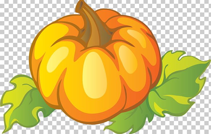 Pumpkin Cucurbita Vegetable Gourd PNG, Clipart, Calabaza, Cartoon, Cucurbita, Flower, Flowering Plant Free PNG Download