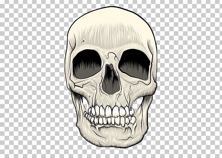 Skull Technical Illustration PNG, Clipart, Art, Bone, Color, Drawing, Fantasy Free PNG Download
