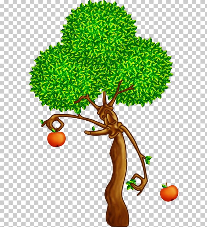 Branch Tree Oak Apples Plant PNG, Clipart, Apples, Branch, Drawing, Flowering Plant, Fruit Free PNG Download