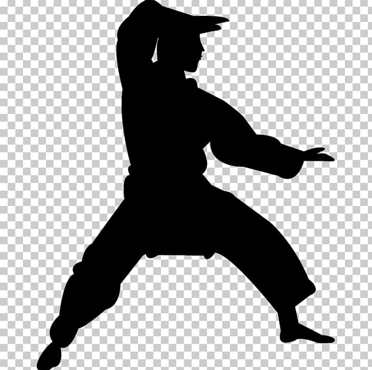 Chinese Martial Arts Karate Silhouette Kata PNG Clipart 