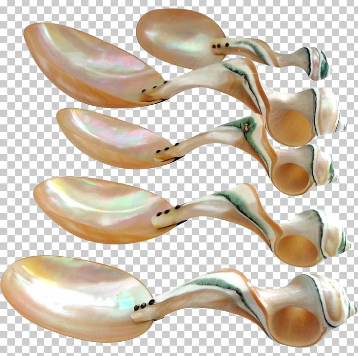 Cutlery Spoon Tableware Material PNG, Clipart, Body Jewellery, Body Jewelry, Conch, Cutlery, Jewellery Free PNG Download