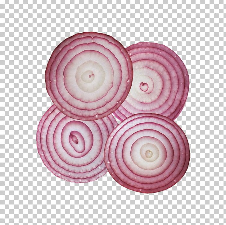 Onion Ring Hamburger Computer File PNG, Clipart, Banana Slices, Circle, Cucumber Slices, Download, Encapsulated Postscript Free PNG Download