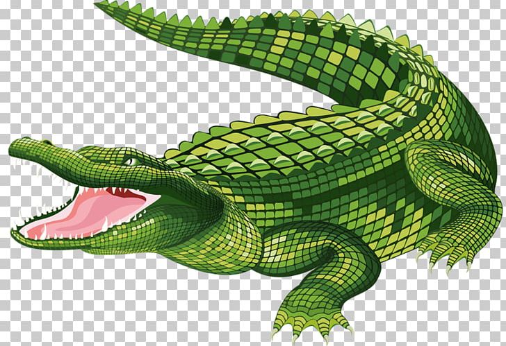 The Crocodile Alligator PNG, Clipart, Alligator, Animals, Big Mouth, Cartoon, Cartoon Mouth Free PNG Download