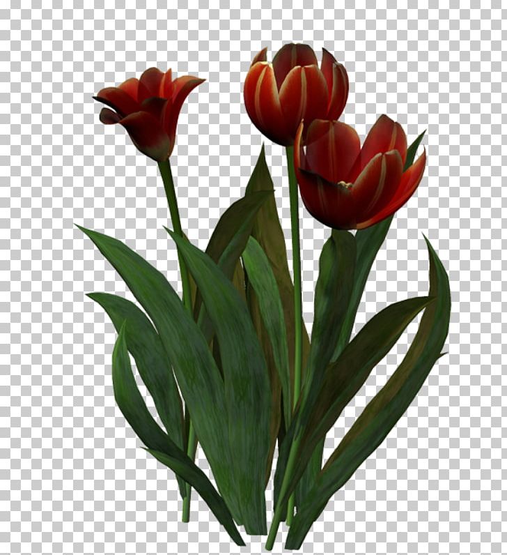 Tulip Cut Flowers Floristry PNG, Clipart, Blog, Cut Flowers, Decoupage, Email, Floristry Free PNG Download
