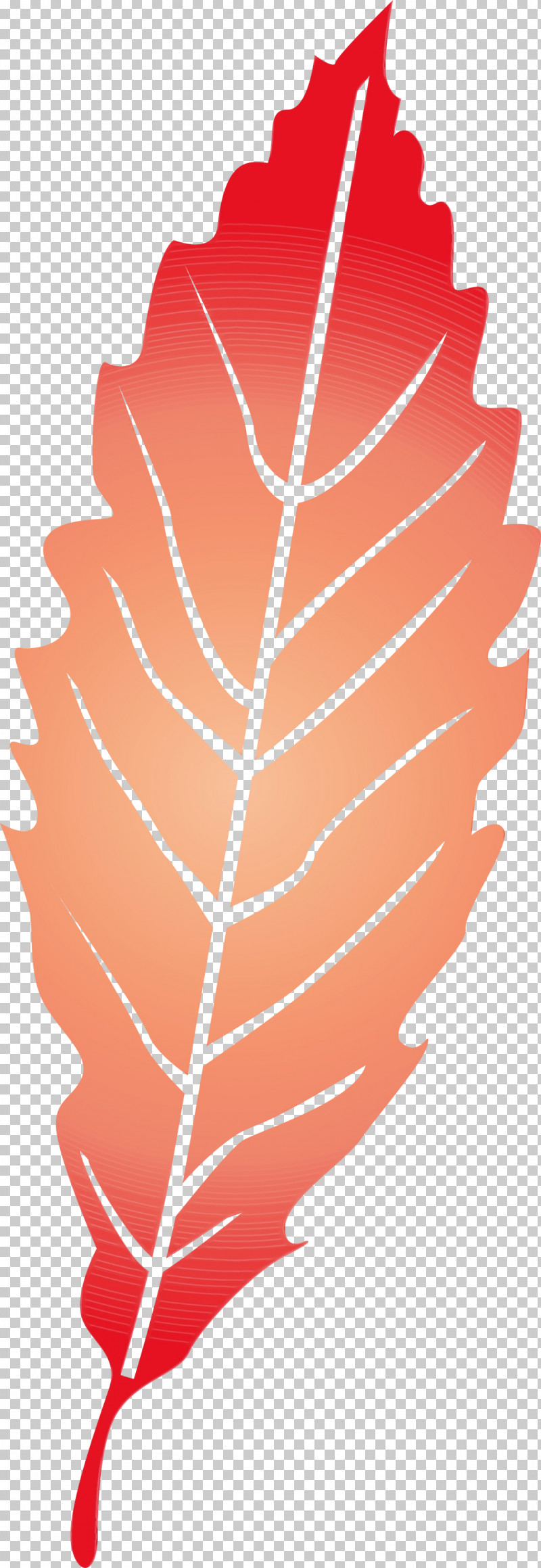 Leaf Petal Meter Line Tree PNG, Clipart, Biology, Flower, Geometry, Leaf, Line Free PNG Download