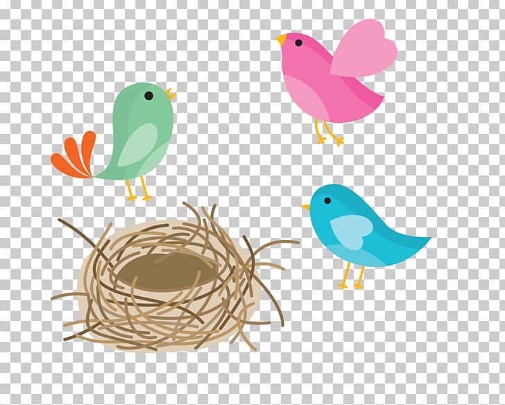 Bird Nest Swallow Bird Nest PNG, Clipart, Animals, Barn Swallow, Beak, Bird, Bird Cage Free PNG Download