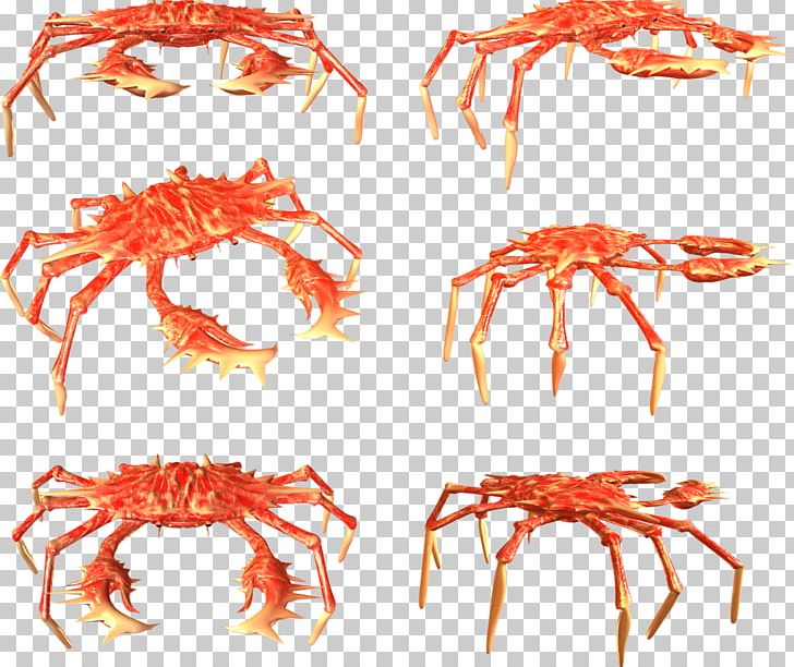 Crab Crayfish PNG, Clipart, Animals, Animal Source Foods, Crab, Crayfish, Decapoda Free PNG Download