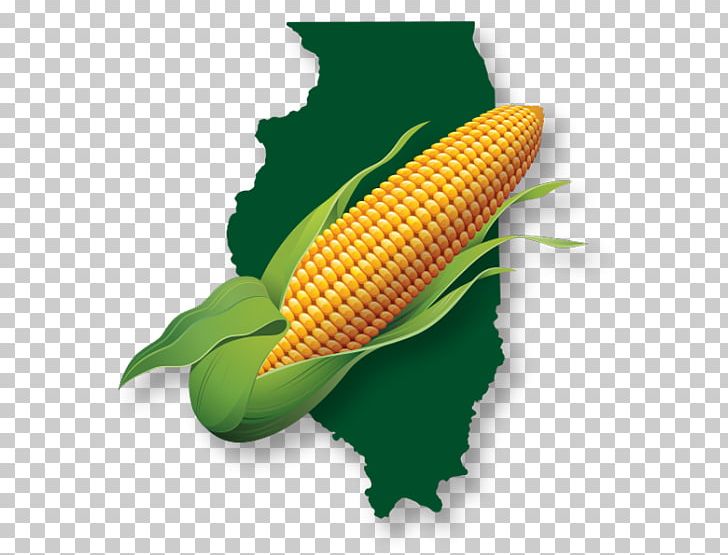 DeKalb Property Tax Business PNG, Clipart, Business, Commodity, Corn, Corn On The Cob, Dekalb Free PNG Download