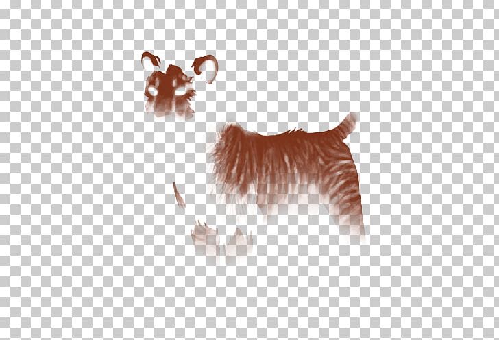 Whiskers Felidae Siamese Cat Brindle Horse Markings PNG, Clipart, Brindle, Canidae, Carnivoran, Cat, Cat Like Mammal Free PNG Download