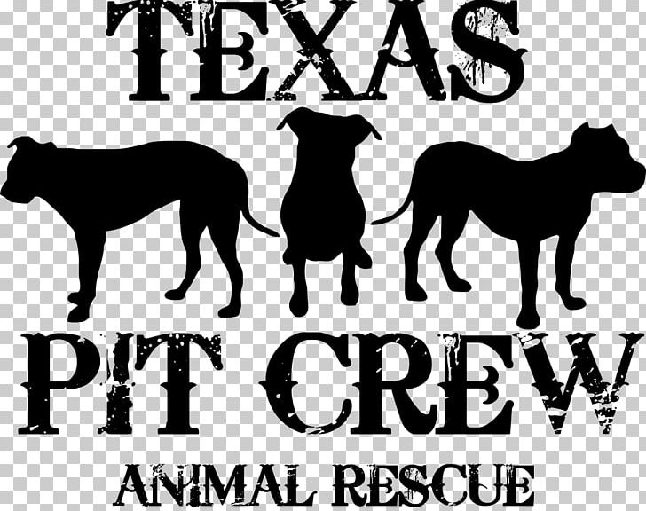 Dog Wichita Falls Pet Cat Veterinarian PNG, Clipart, Animal, Animal Control And Welfare Service, Animal Rescue Group, Animals, Big Cats Free PNG Download
