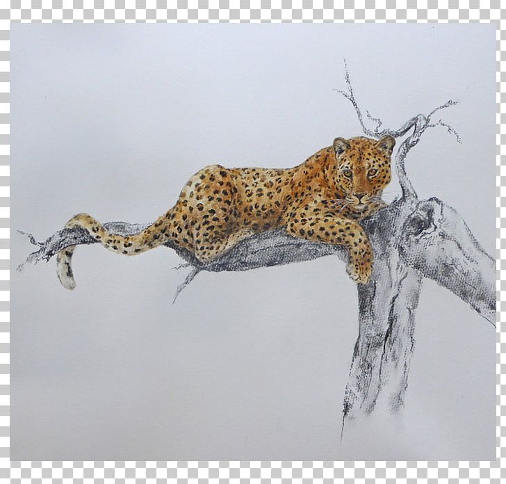 Leopard Cheetah Cat Fauna Terrestrial Animal PNG, Clipart, Animal, Animals, Artist, Bbc, Big Cat Free PNG Download