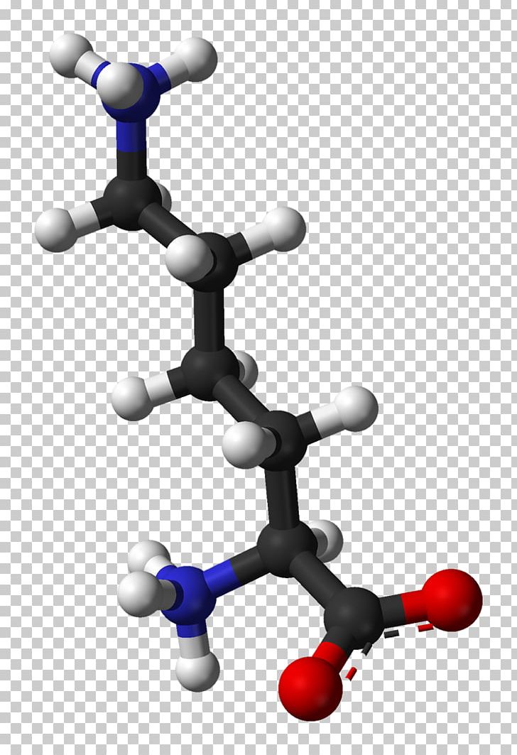 Lysine Essential Amino Acid Genetic Code Protein PNG, Clipart, Acid, Amine, Amino Acid, Arginine, Aspartic Acid Free PNG Download