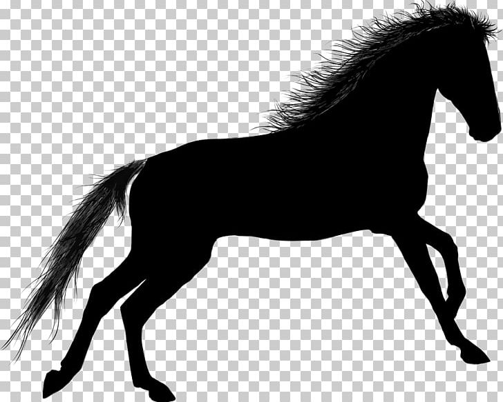 T-shirt Stallion Mustang Pony Friesian Horse PNG, Clipart, Black And White, Bridle, Colt, Draft Horse, Equestrian Free PNG Download